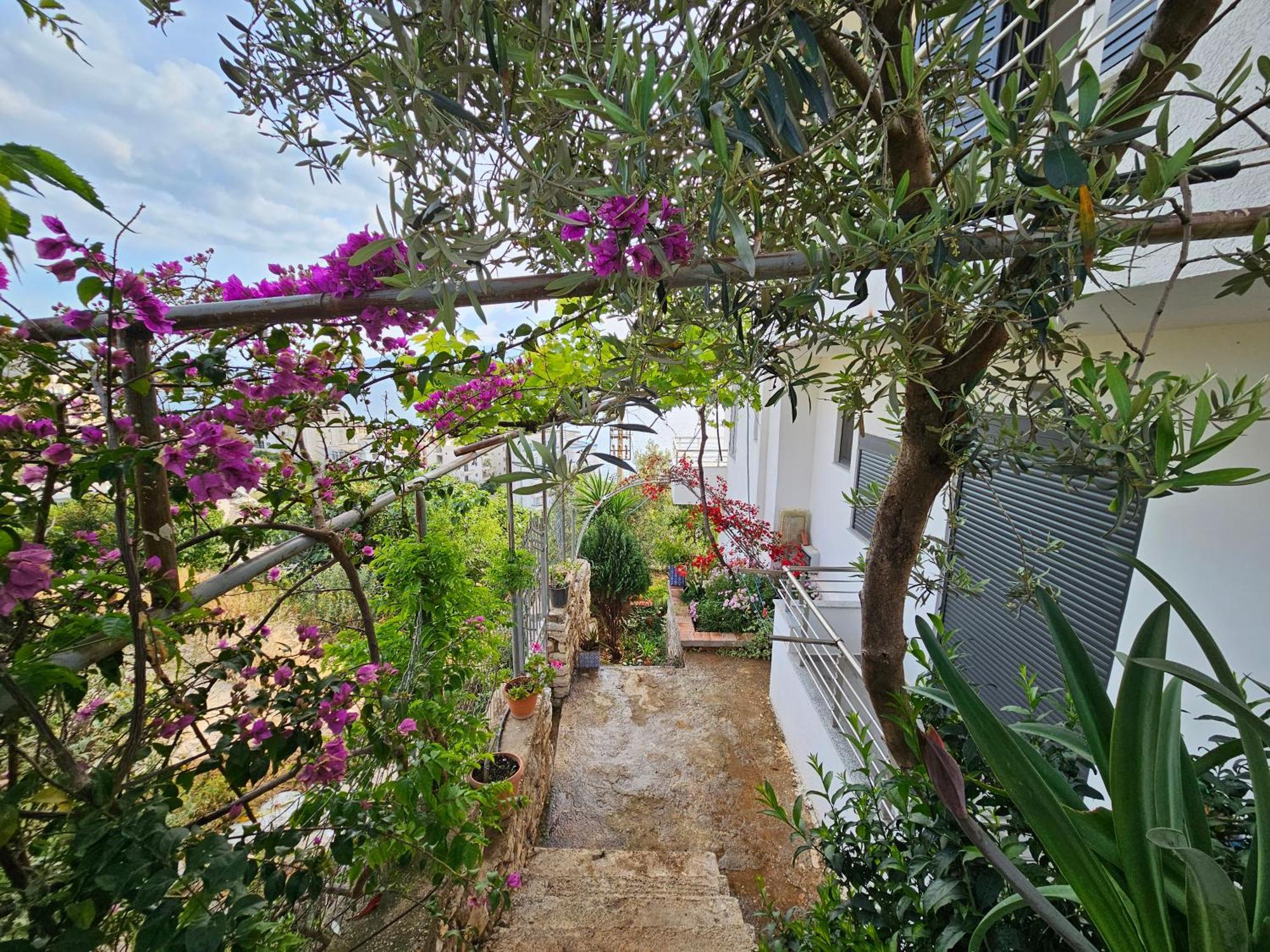 Nora'S Guesthouse Sarandë Exteriér fotografie