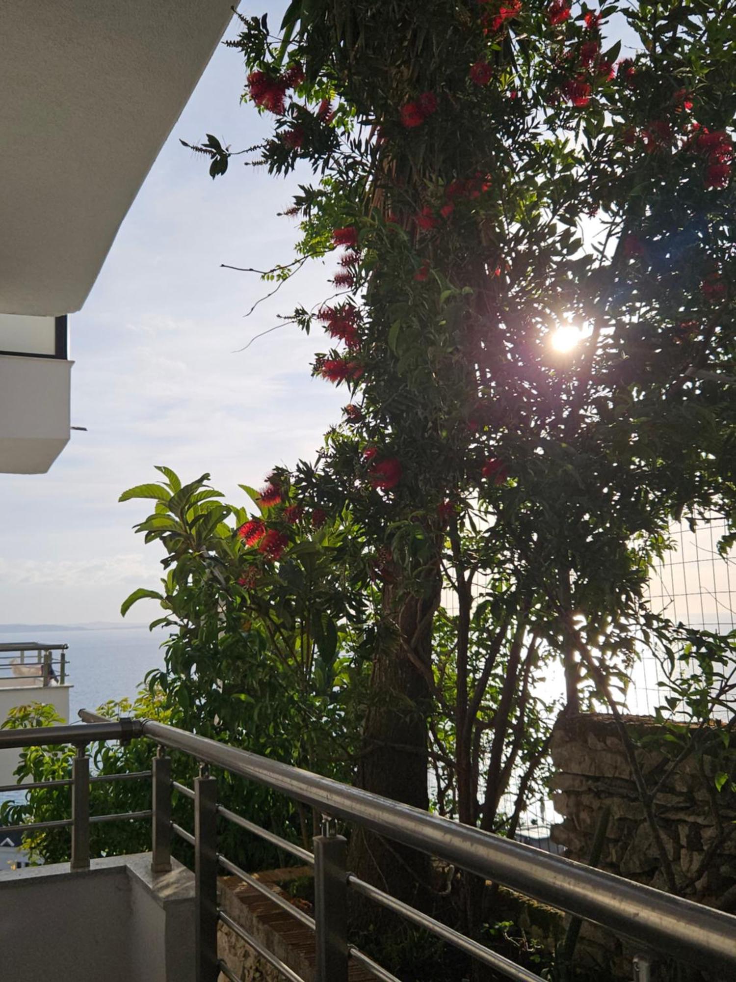 Nora'S Guesthouse Sarandë Exteriér fotografie