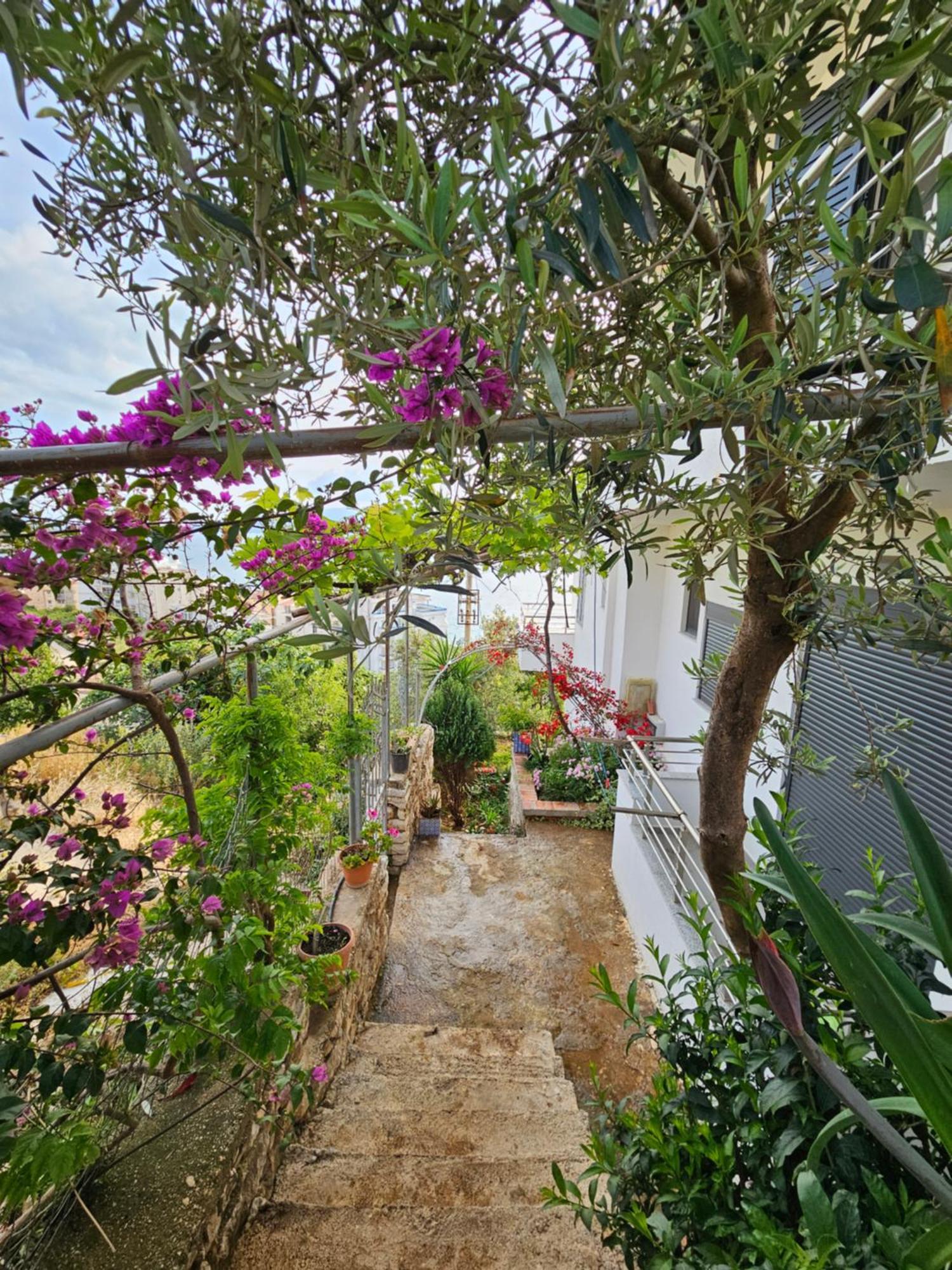 Nora'S Guesthouse Sarandë Exteriér fotografie